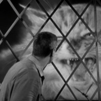 A man has his head turned towards a cat, which is hissing ferociously at him. A divider that looks like a chain-link fence separates them, but the man is much smaller than a human, making the cat appear huge in comparison.